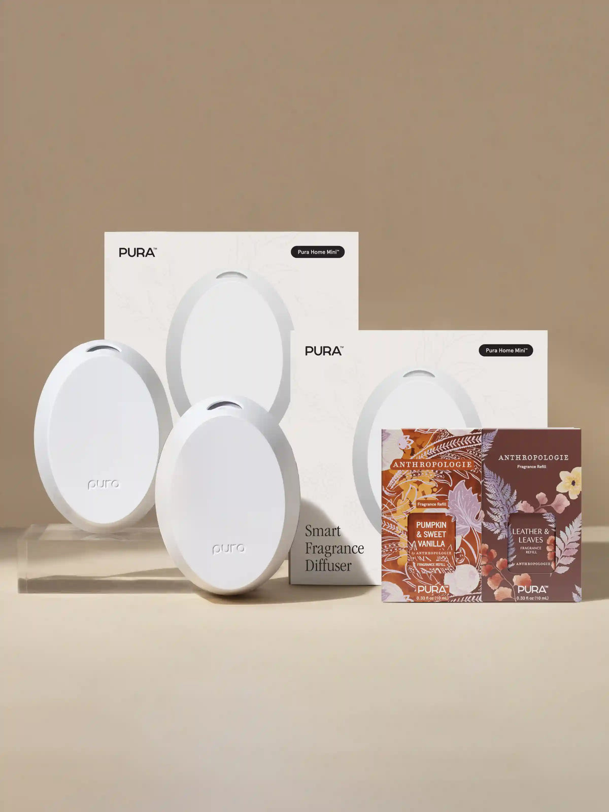 Sweet & Spiced Fall Favorites Set